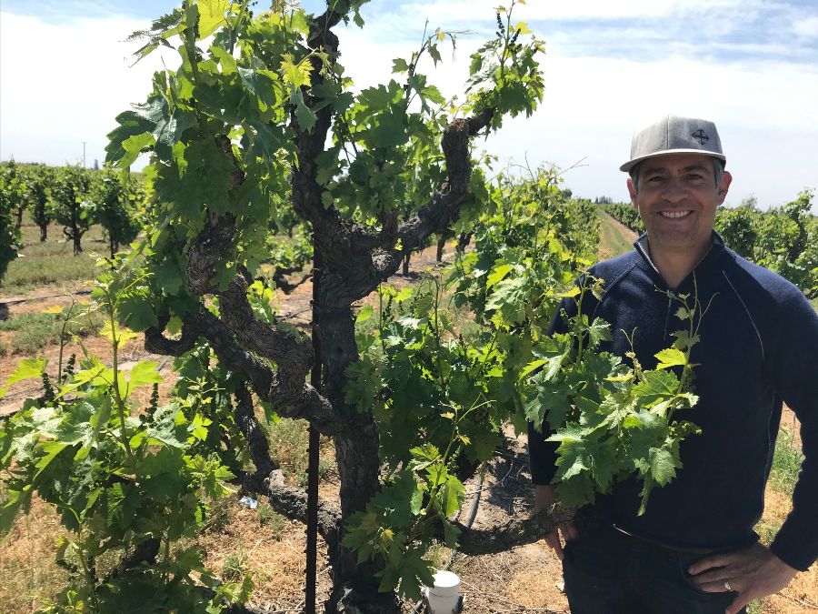 Tadeo Borchardt Zinfandel Steacy Vineyard