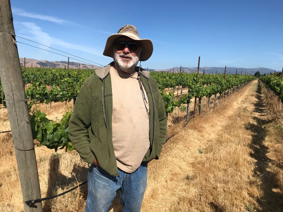 Vintner Paul Larson after putting in a full day during last fall's harvest. The camera is pointing northwest towards the hills separating Sonoma and Petaluma.