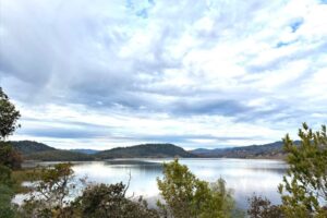 An Update on the 2022 Sage Canyon Red