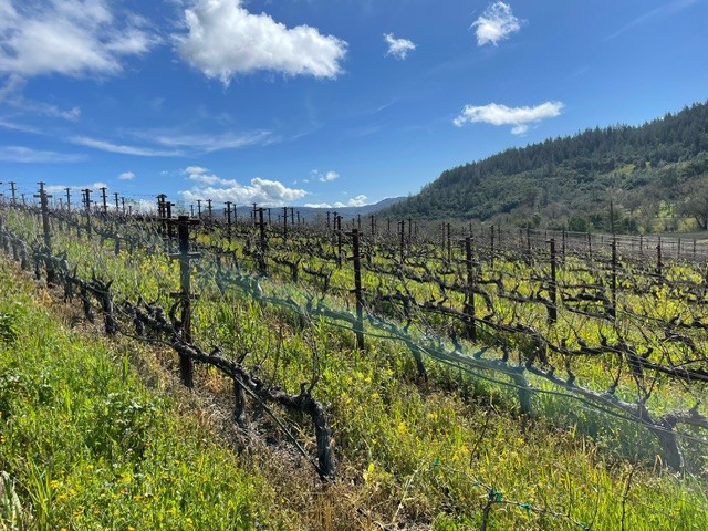 Neyers Ranch on a sunny day