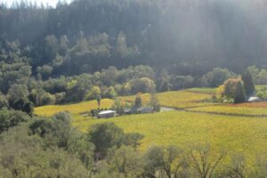 Neyers Left Bank Red in the Wine Spectator